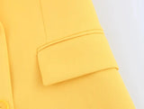 TRAFZA Women Spring Casual Suit Turn-Down Collar Long Sleeves Double-Breasted Blazers+Mid Waist Zipper Flared Pants Women Set - MisteryBox